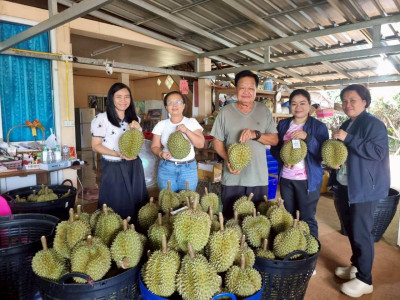 สำนักงานสหกรณ์จังหวัดยโสธรหนุนเชื่อมโยงเครือข่าย จับคู่ ... Image 1